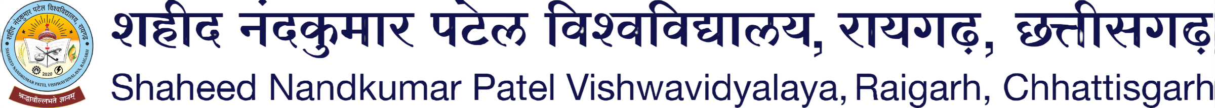 Shaheed Nandkumar Patel Vishwavidyalaya, Raigarh